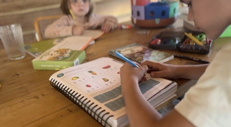 5 Reasons Why We Homeschool at Hardmeadfarm