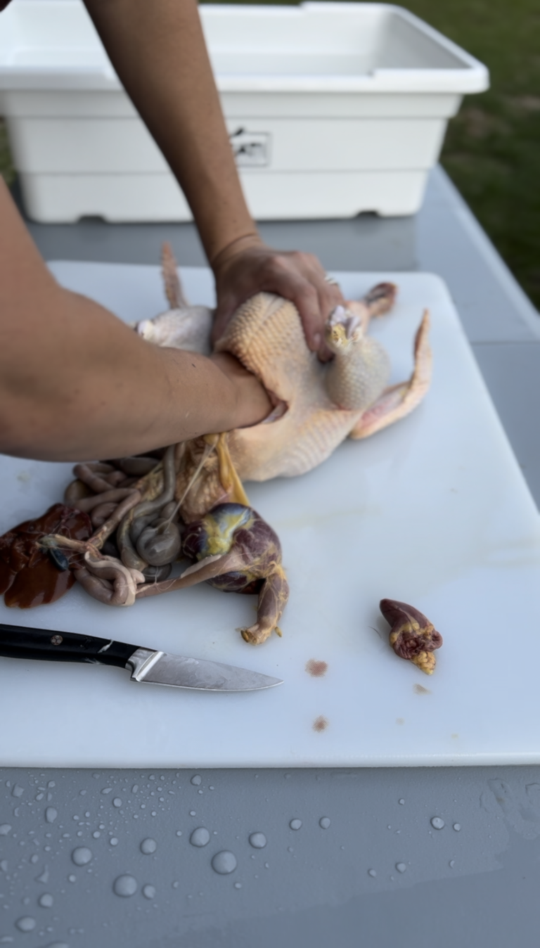 Raising Meat Chickens: What You Need to Know
