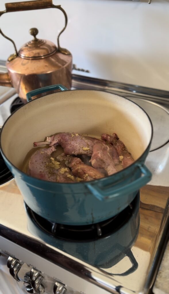 Rabbit meat cooking in blur dutch oven