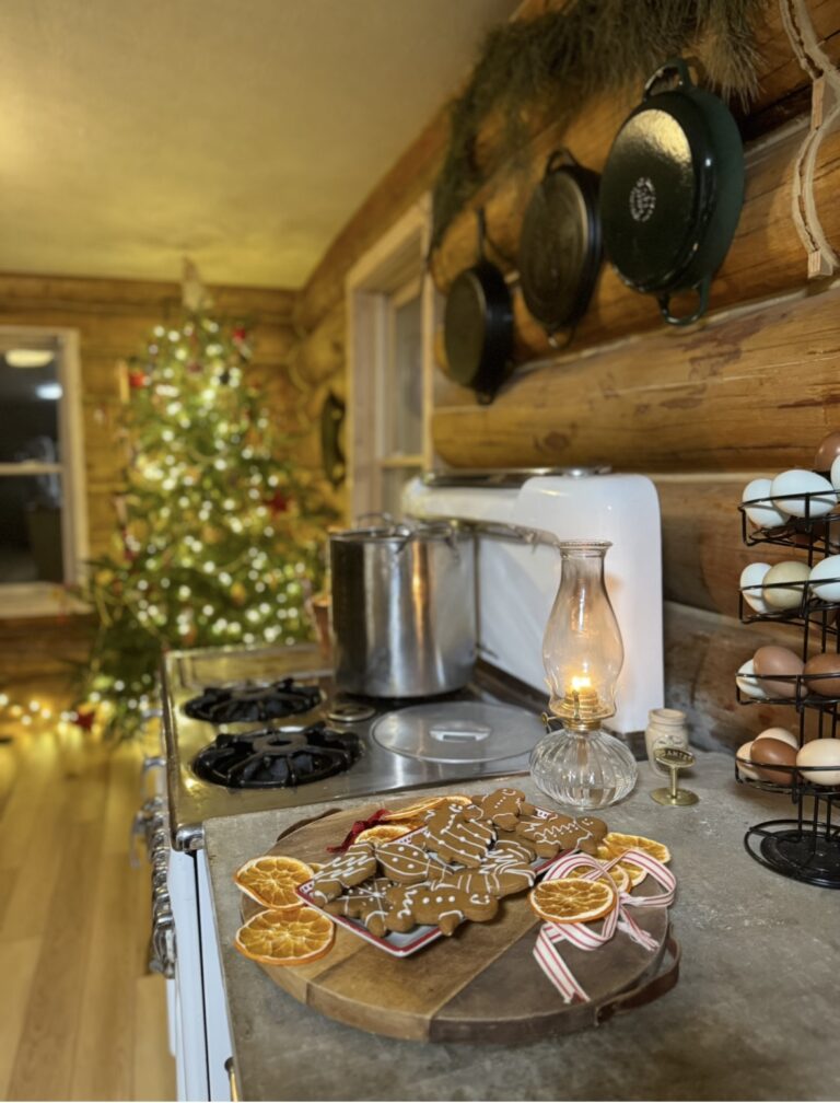 a plate of ginger cookies on the kitchen counter with a Christmas tree in a log cabin. in candle light