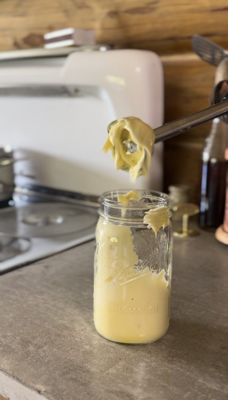 Homemade Mayonnaise Recipe With Avocado Oil | Easy 5-Minute Recipe