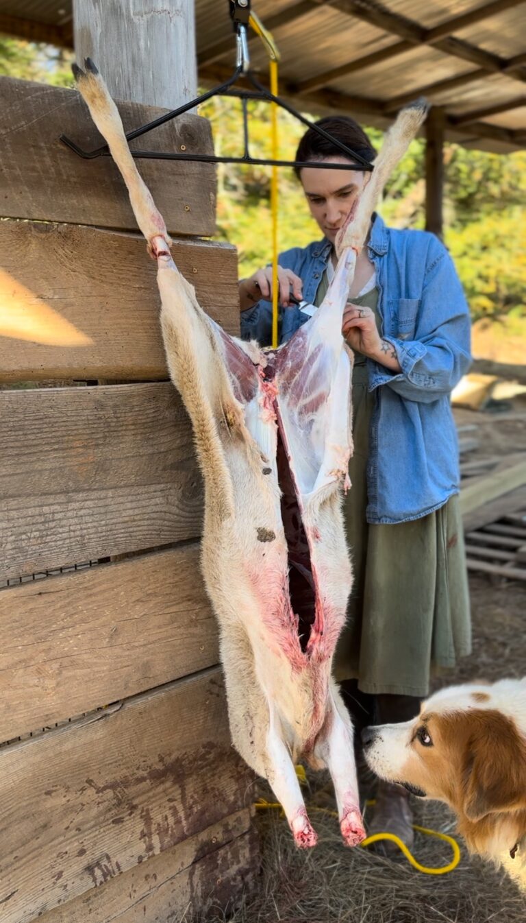 How to Butcher A Lamb at Home: From Carcass to Cuts